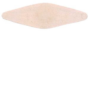 RS148c Dr. D. Jayne & Son, Philadelphia, pink paper - Image 2