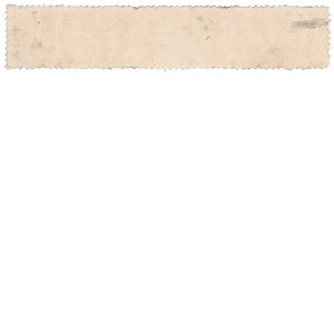 RS256d, Warner Safe Cure Medicine Stamp,  H. H. Warner - Image 2