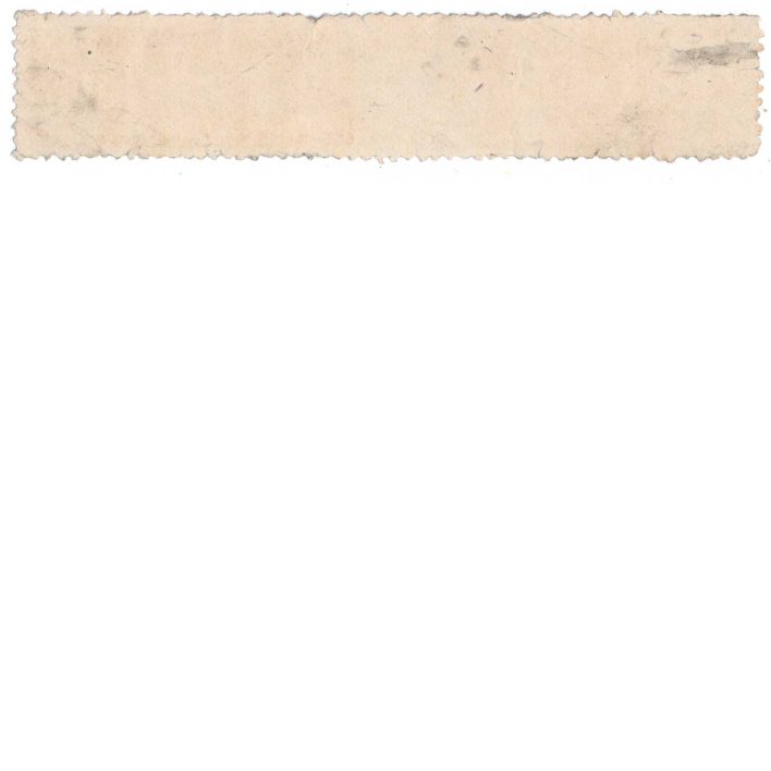 RS256d, Warner Safe Cure Medicine Stamp,  H. H. Warner - Image 2