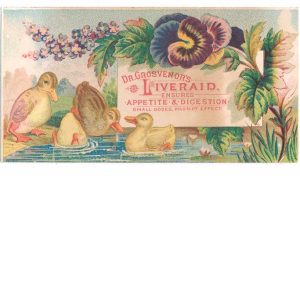 Dr. Grosvenor's Liveraid Trade Card 1880