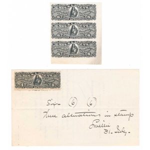 RS249d, RS250P3, Mrs. Allen's Hair Restorer, S.R. Van Duzer, change order 1880 - Image 2