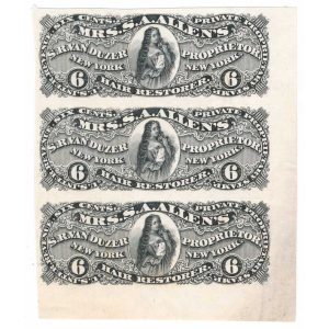 RS249d, RS250P3, Mrs. Allen's Hair Restorer, S.R. Van Duzer, change order 1880 - Image 4