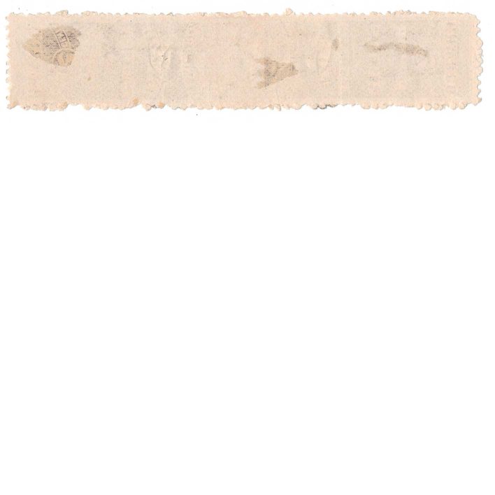 RS256d, Warner Safe Cure Medicine Stamp,  H. H. Warner - Image 2