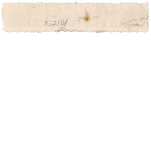 RS256d, Warner Safe Cure Medicine Stamp,  H. H. Warner - Image 2