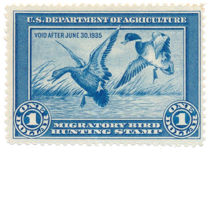 RW1 1934 Duck Stamp Mint Hinged VF