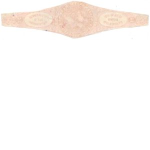 RT5a Fetridge & Co. Perfume Stamp - Image 2