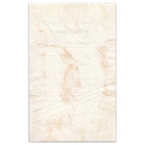 RN-B1 on Stewart & Morgan 1869 letterhead drug receipt, Indianapolis - Image 2