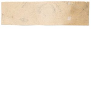 RS215d J. E. Schwartz & Co. Medicine Stamp - Image 2