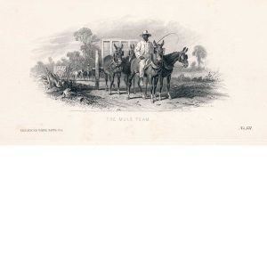 "The Mule Team", Vignette Die Proof, American Bank Note Co. 1860