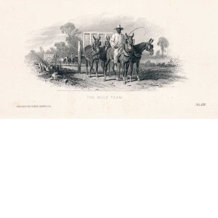 "The Mule Team", Vignette Die Proof, American Bank Note Co. 1860