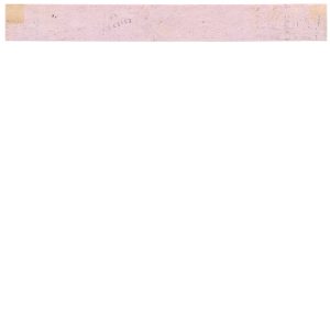 RS132c Hostetter's Celebrated Stomach Bitters Medicine Stamp - Image 2