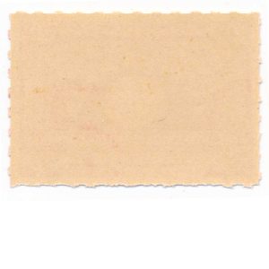 RS278p Antikamnia Chemical Co. Revenue Stamp, MNH - Image 2