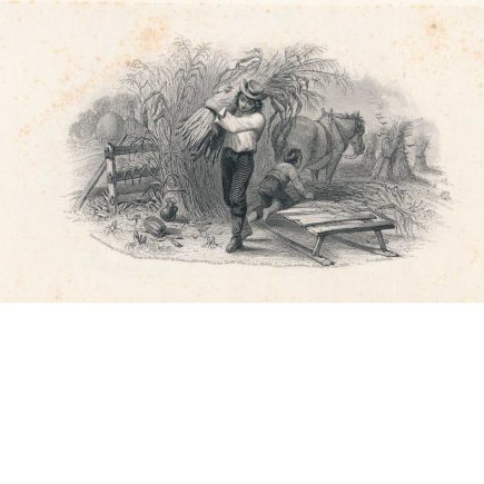 Picking Corn Vignette Die Proof on india on card 1853, F.O.C. Darley