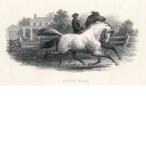 Vignette Die Proof, "On the Road" National Bank Note Co. 1860s