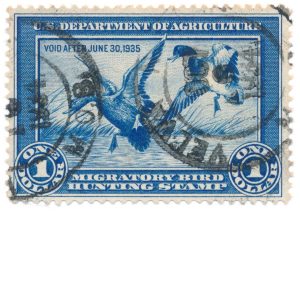 RW1 1934 US Revenue Duck Stamp used