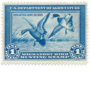 RW1 1934 US Revenue Duck Stamp Mint No Gum F