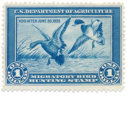 RW1 1934 US Revenue Duck Stamp Mint No Gum F
