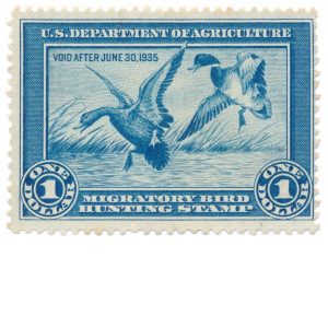 RW1 1934 US Revenue Duck Stamp Mint No Gum F