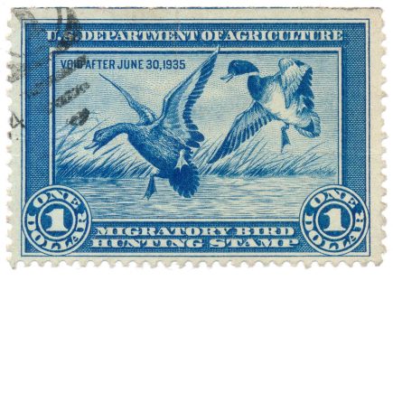 RW1 1934 US Revenue Duck Stamp used