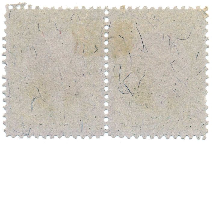 RB5a 5c US Proprietary Revenue Stamps, used pair - Image 2