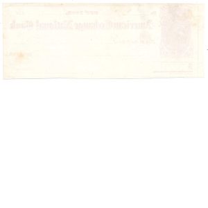 RN-B10 American Exchange National Bank check, unused 1865 - Image 2