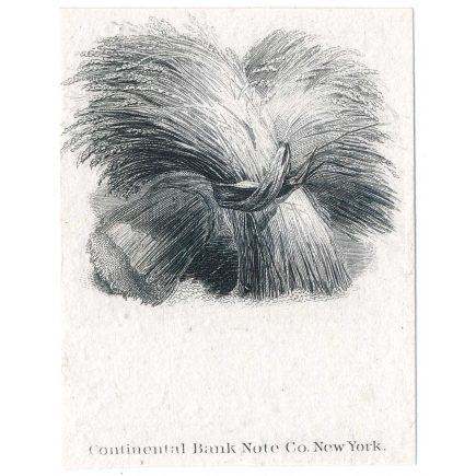 "Hay", Vignette Die Proof on india, CBNCo. 1865